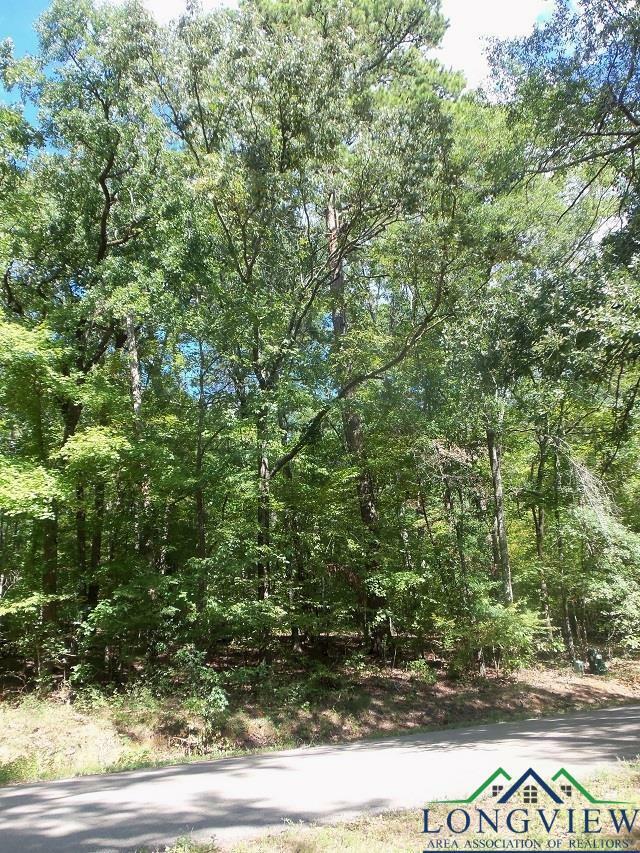 Property Photo:  Tbd--Lot 13 Willow Springs Road  TX 75662-6142 
