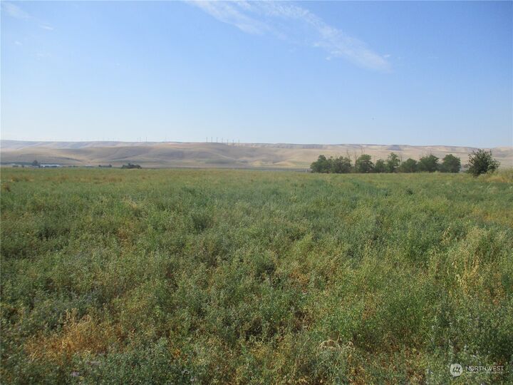 Property Photo: 0 Lot 54 Thurber Road WA 99360