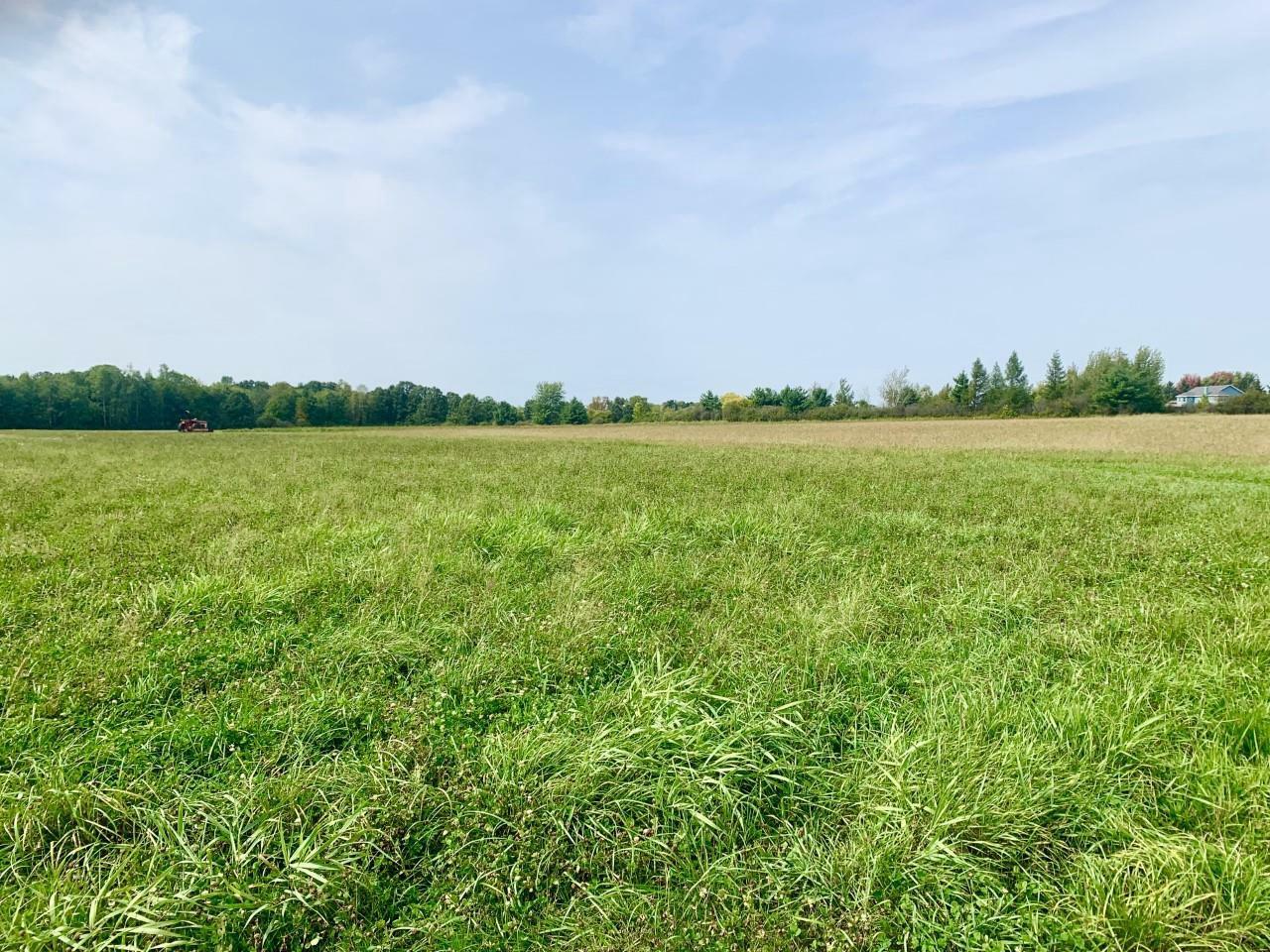 Property Photo:  Lot 1 Adler Road  WI 54449 