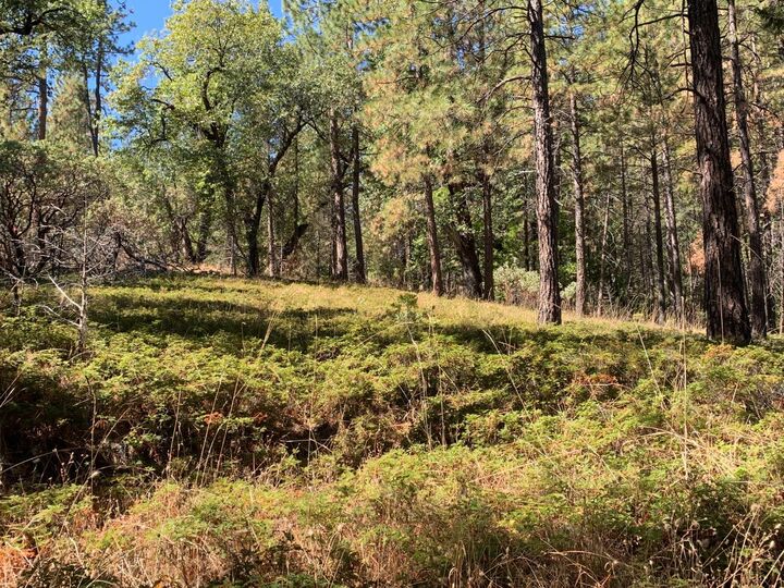 5 Acres Old Schoolhouse Road  Somerset CA 95684 photo