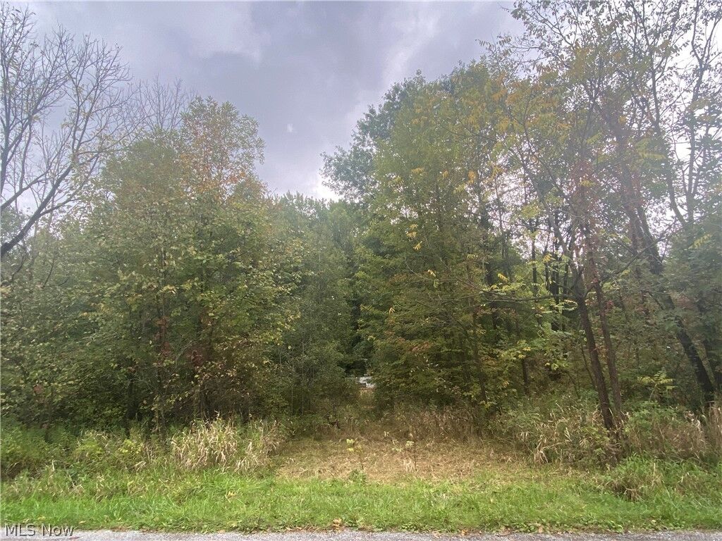 Property Photo:  Anderson Anthony Road  OH 44430 