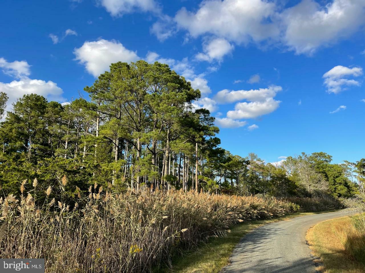 SW Fords Wharf Road  Westover MD 21871 photo