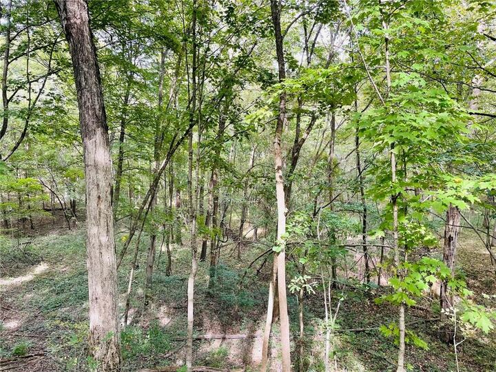 Property Photo:  Lot 3  IL 62458 