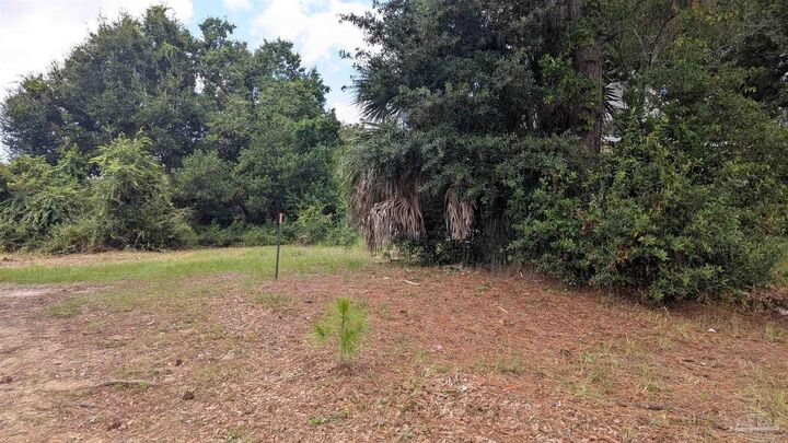 Property Photo:  1205 N M St  FL 32501 