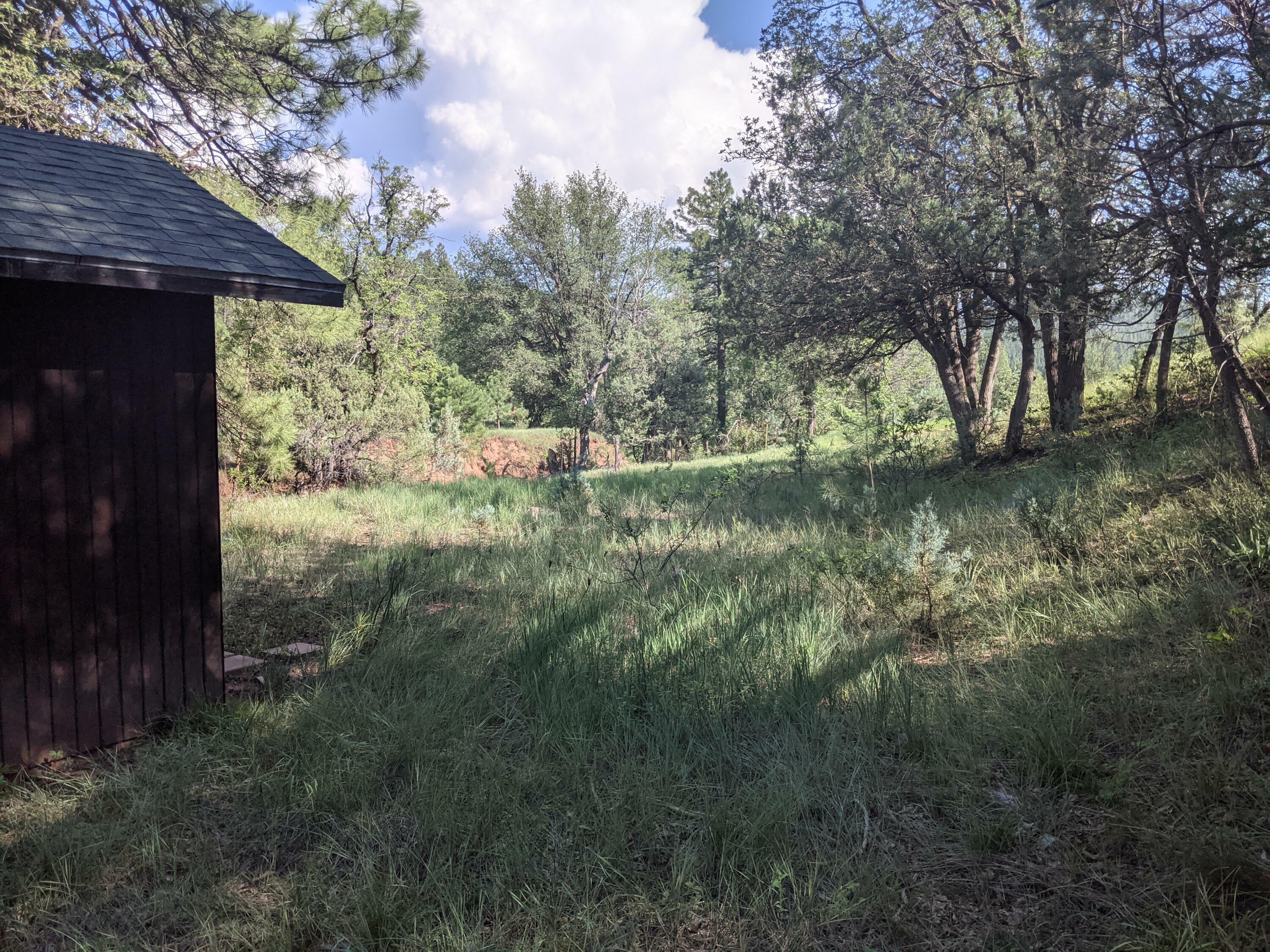 Property Photo:  181 S Blackfoot Road  AZ 85541 