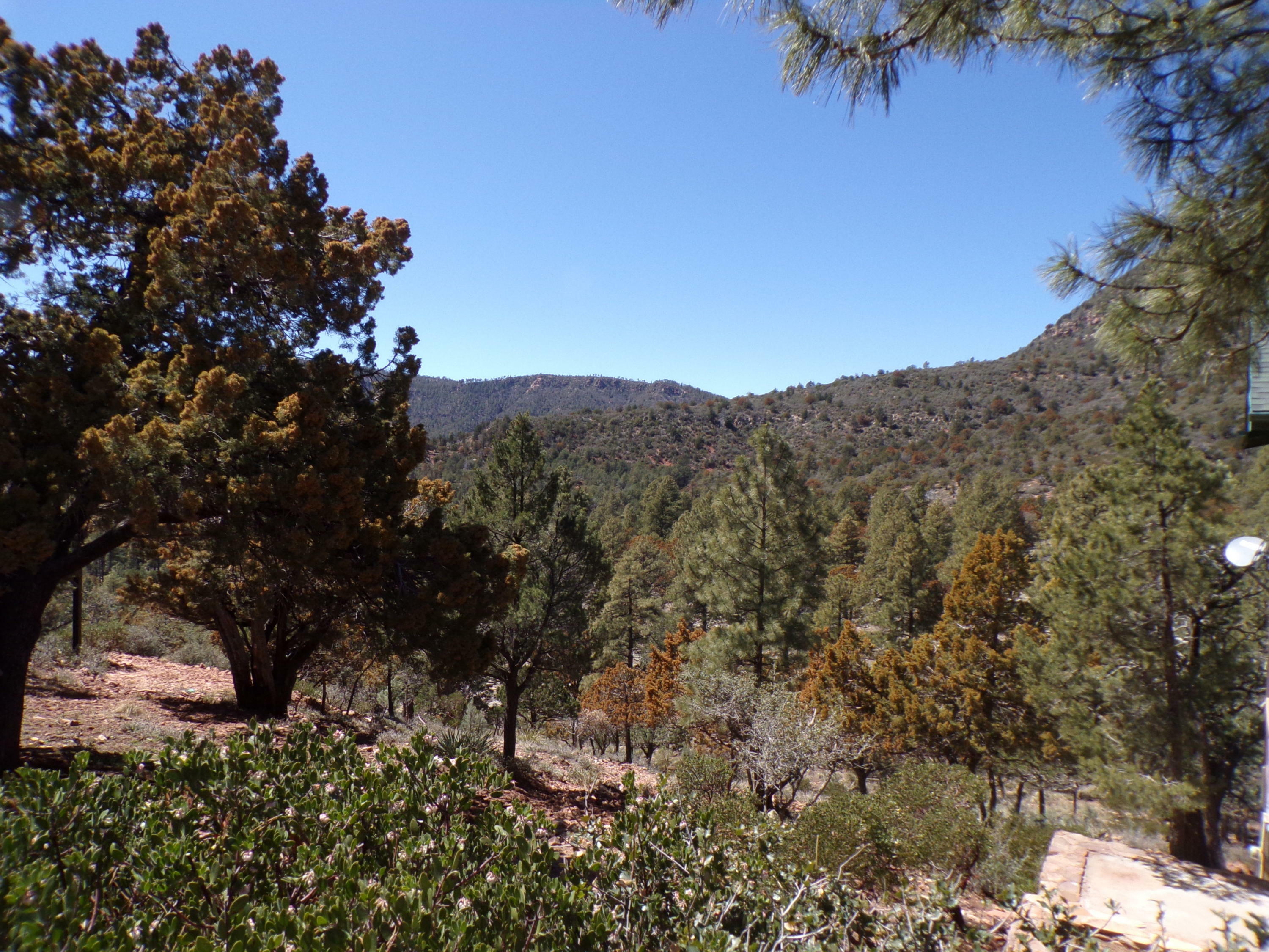 Lot 127 N Portal Drive  Pine AZ 85544 photo