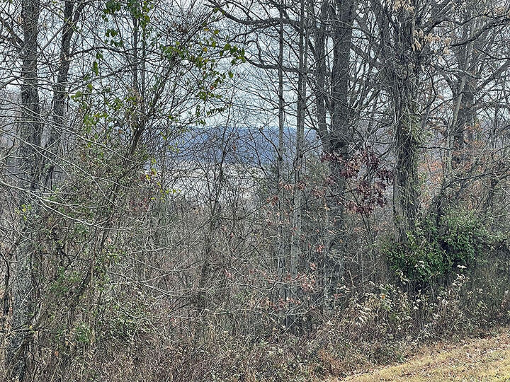 Property Photo: Lot 138 Stillwater KY 42642