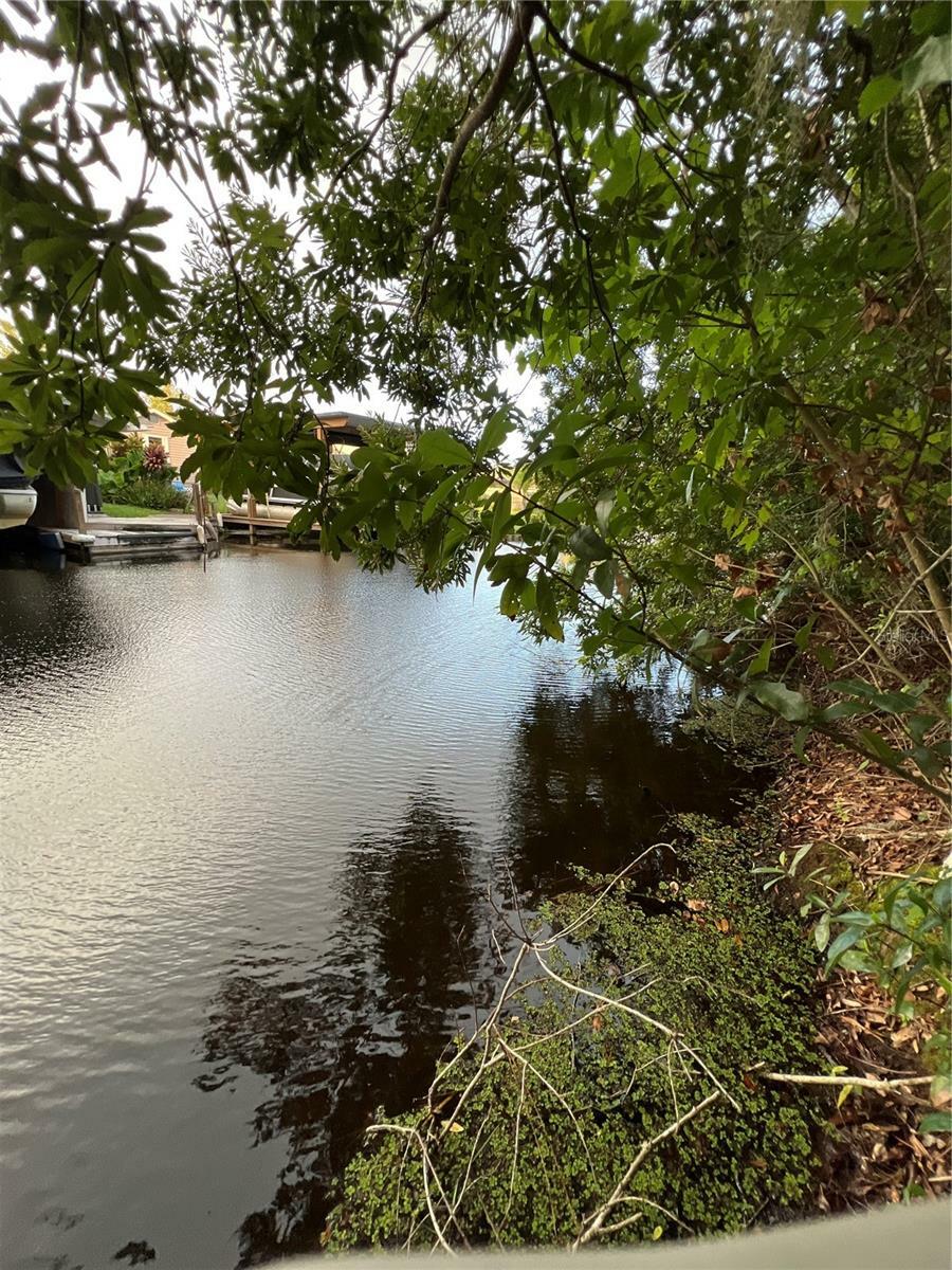 Property Photo:  Pine Ridge Road  FL 34788 