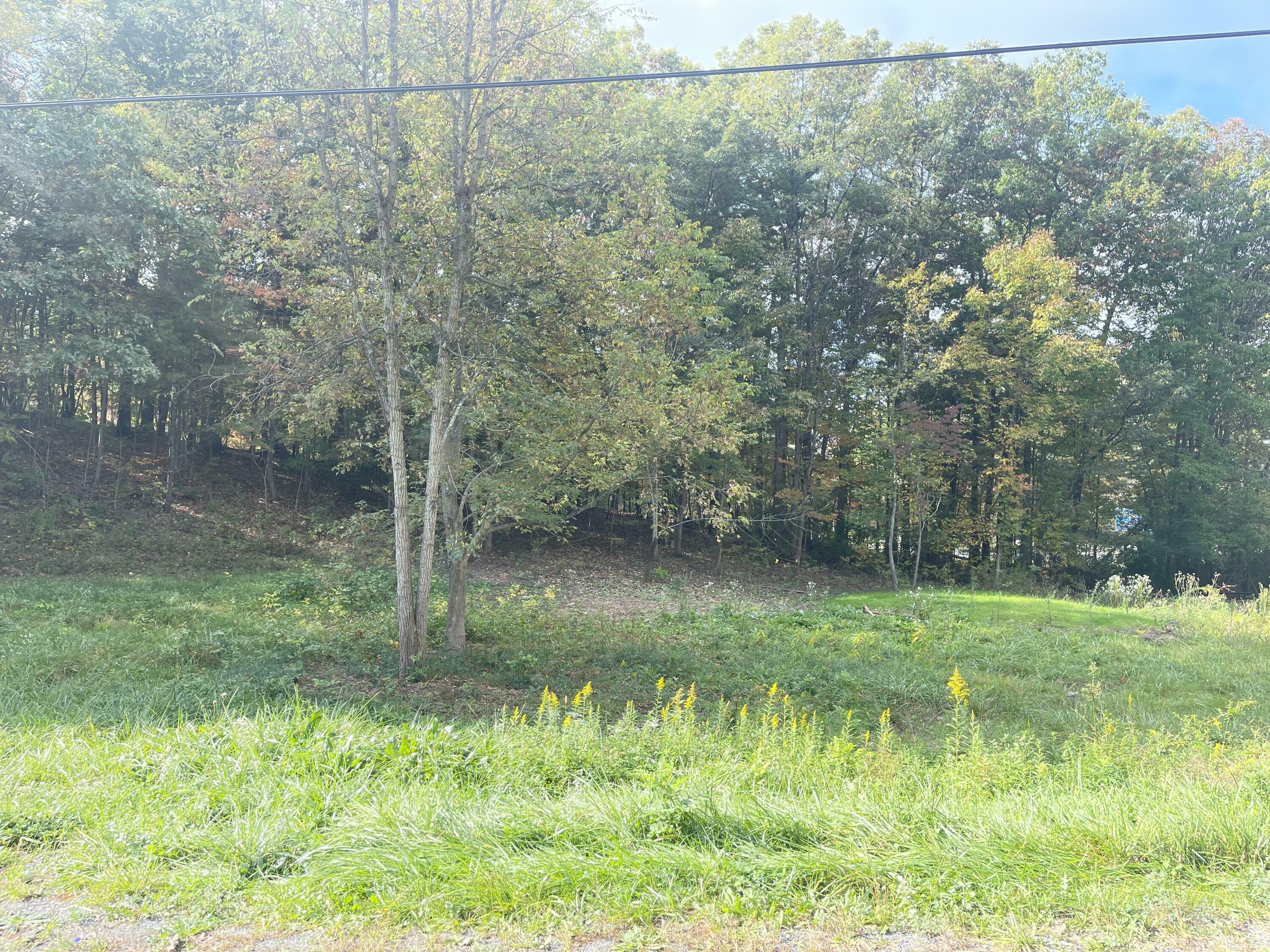 Property Photo:  Lot 39 Wildwood  WV 24901 