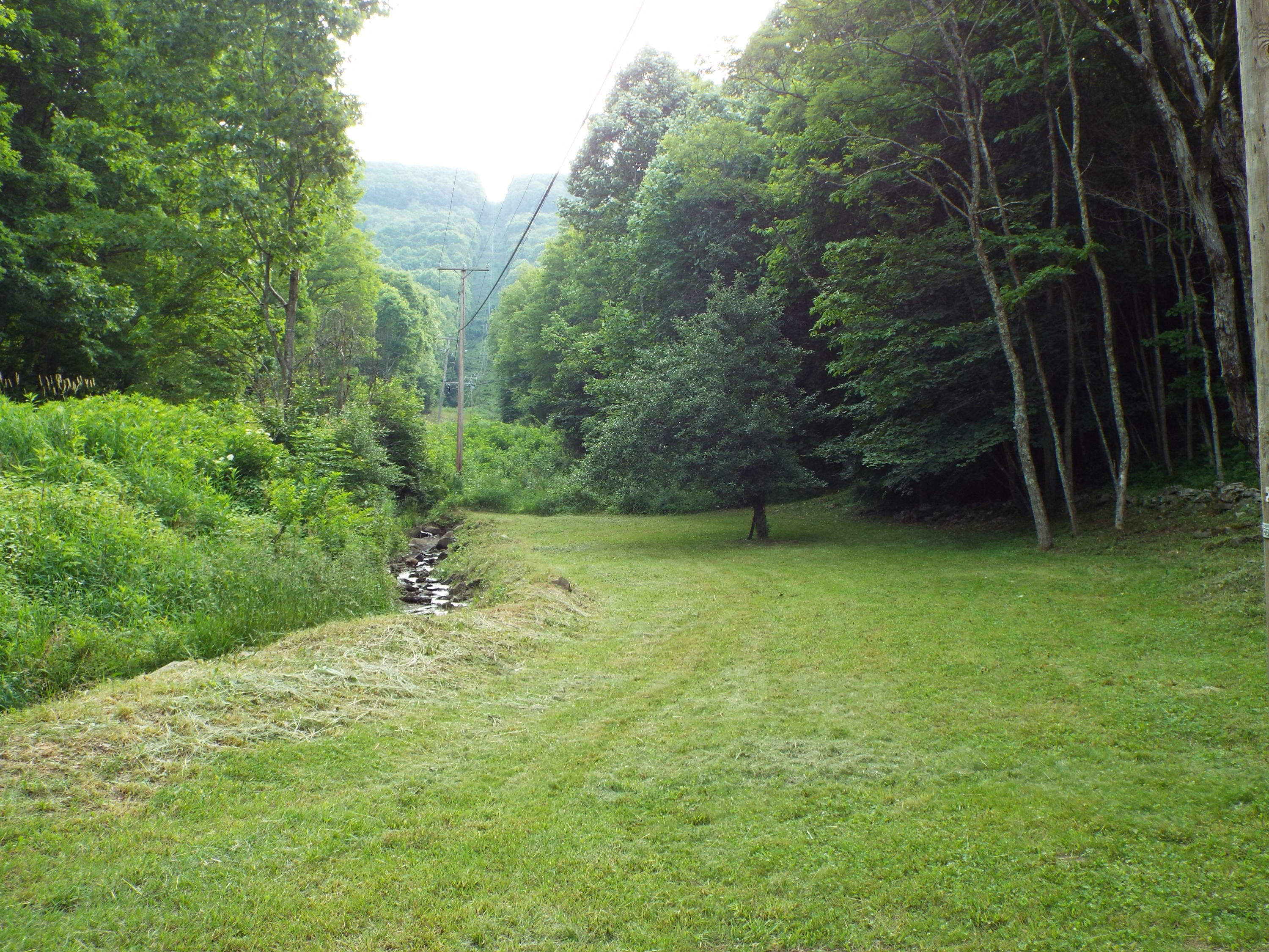 Property Photo:  1378 Fleshman Hollow Rd  WV 25962 