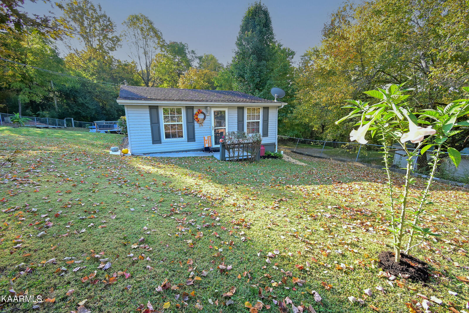 Property Photo:  808 Bayless St  TN 37854 