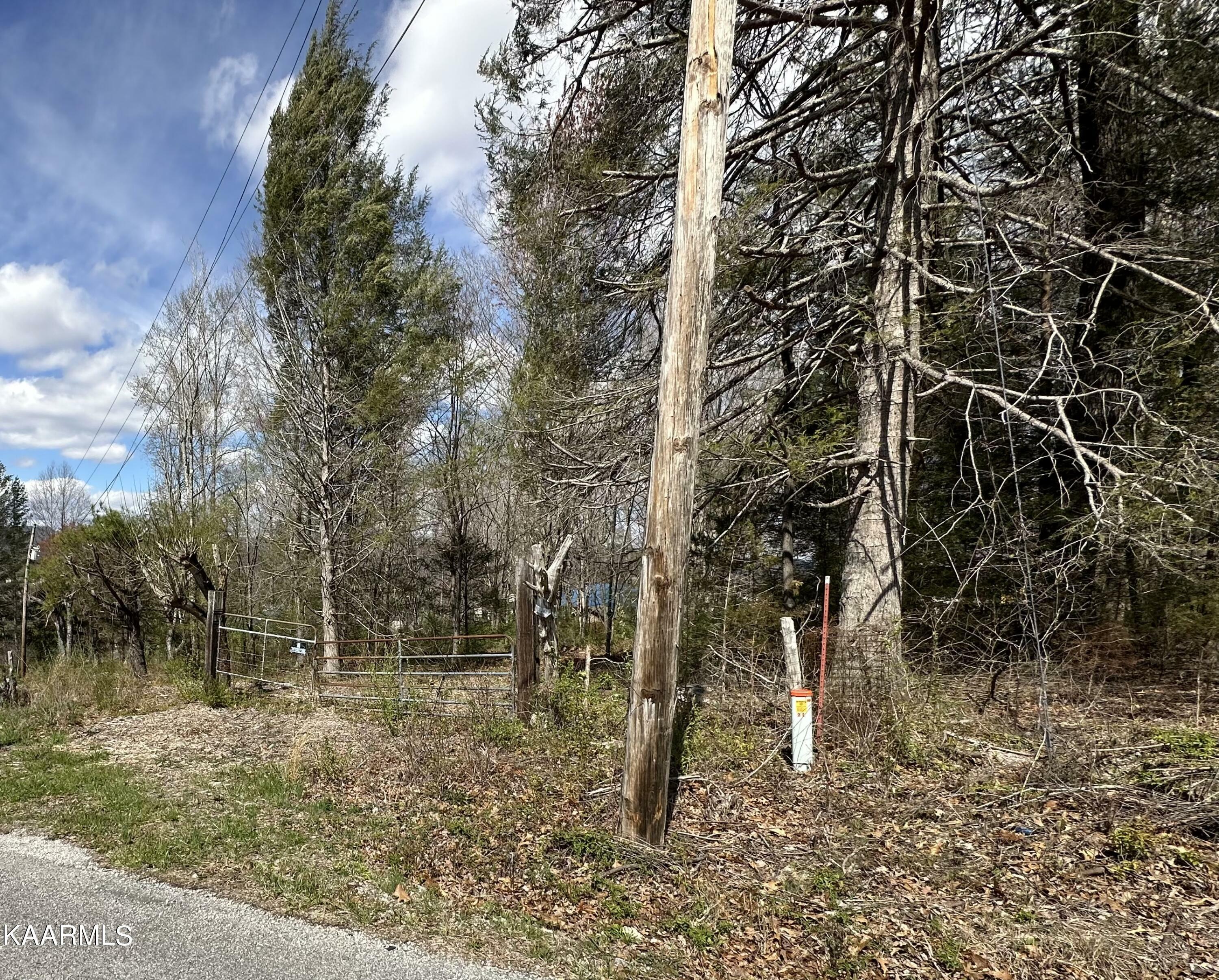 Property Photo:  Lot 7 Shannon Rd  TN 37757 