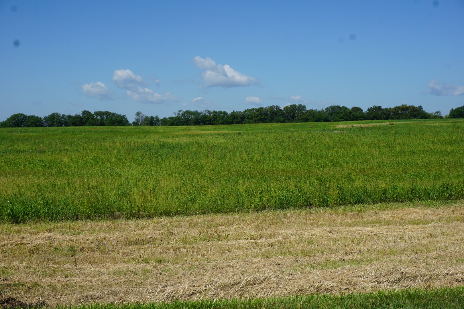 Property Photo: 11000 N 16000 E Road IL 60940