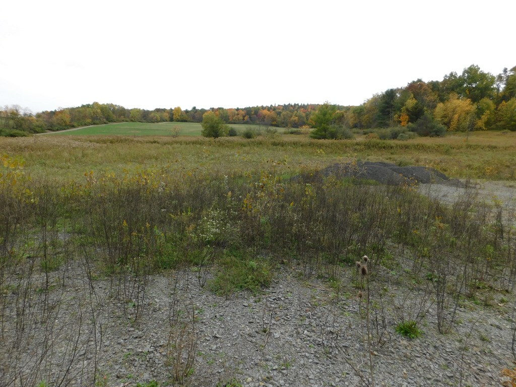 Property Photo:  0 Coryell Rd  NY 13812 