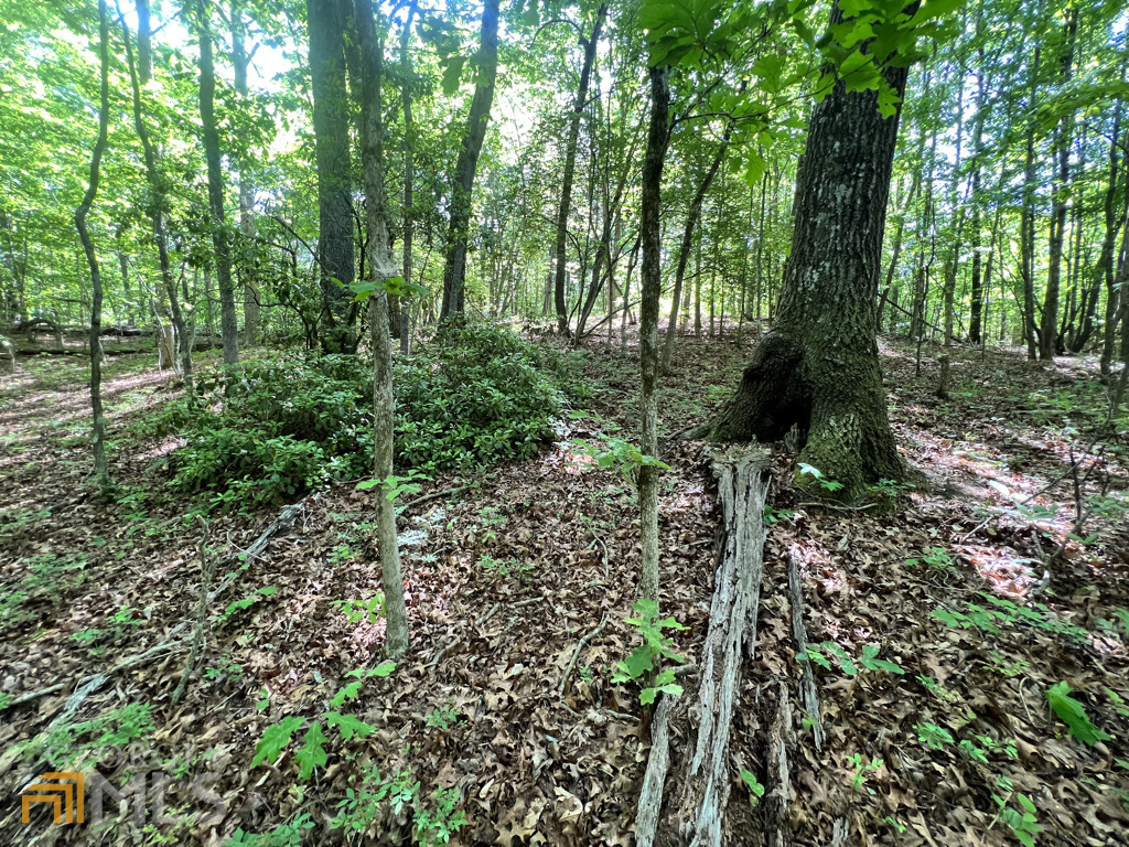 Property Photo: 0 Lot 1, 11.97 Acres Luther Palmer Road GA 30528