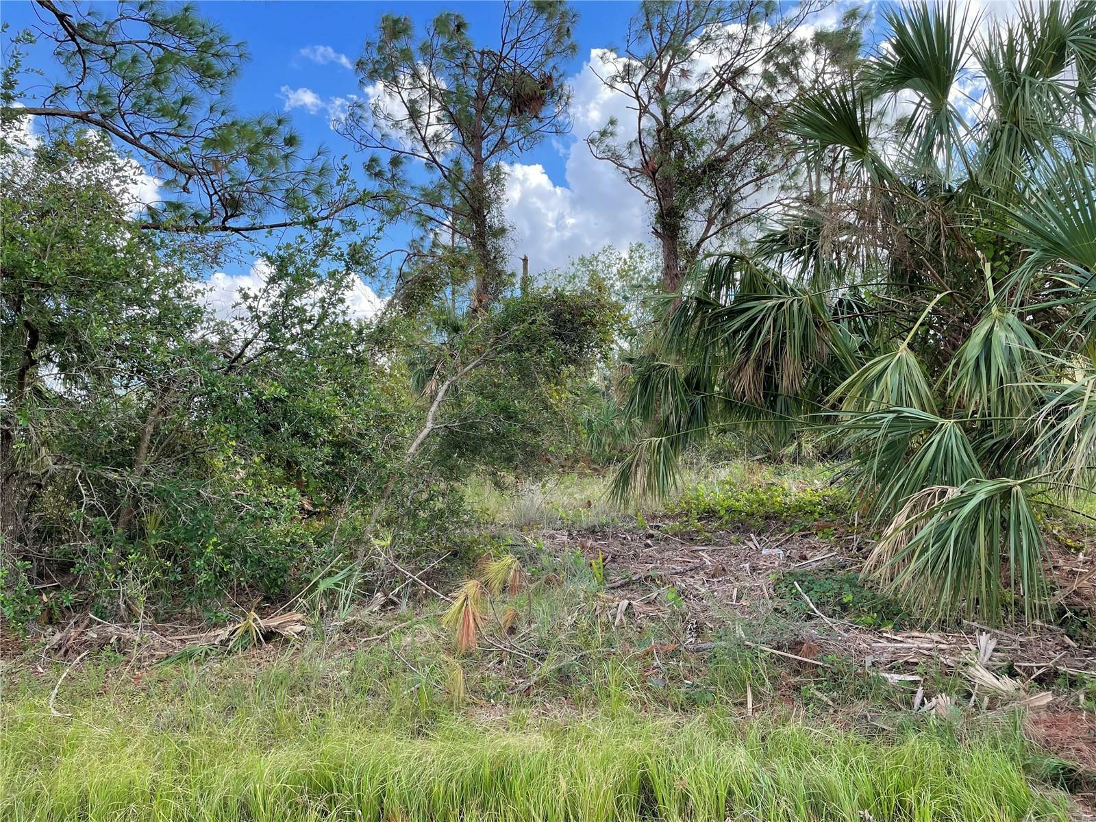 Property Photo:  00 Oceanside Street  FL 34286 