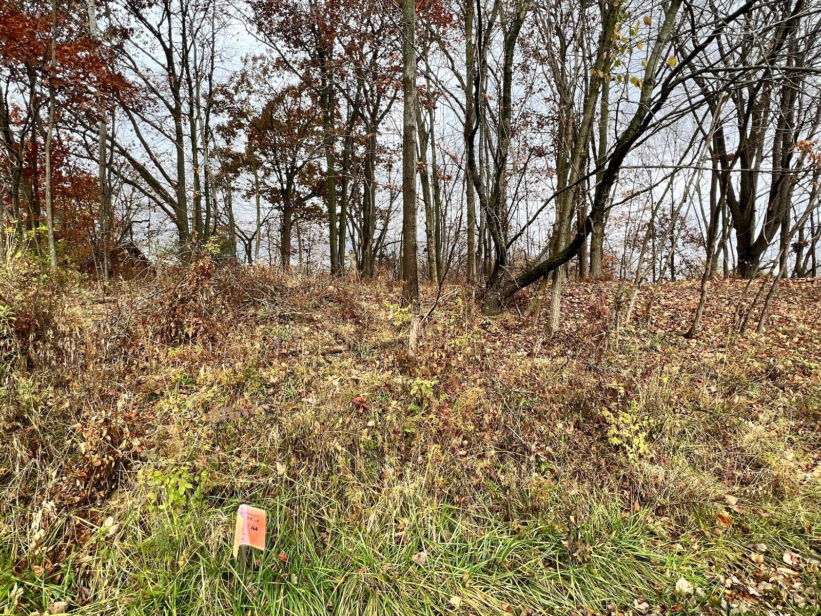 Property Photo:  7326 SR 19 Unit 1 Lot 166  OH 43338 