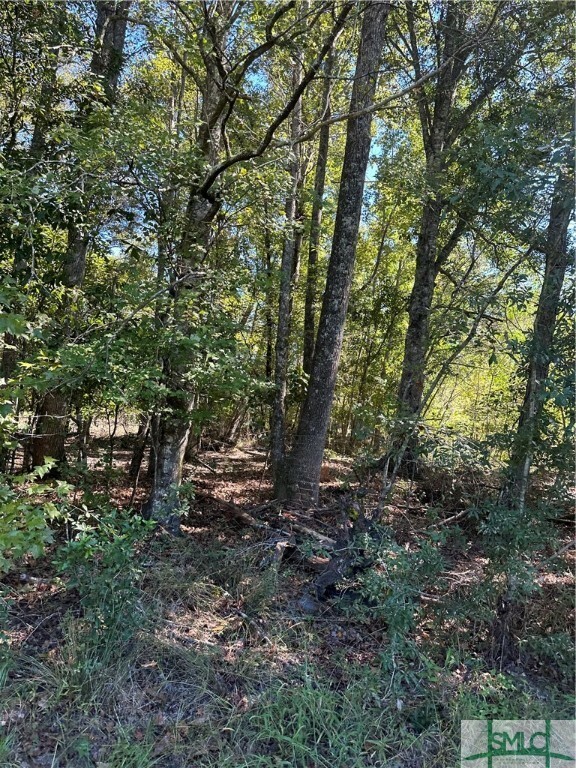 Property Photo:  1565 Shawnee Egypt Road  GA 31329 