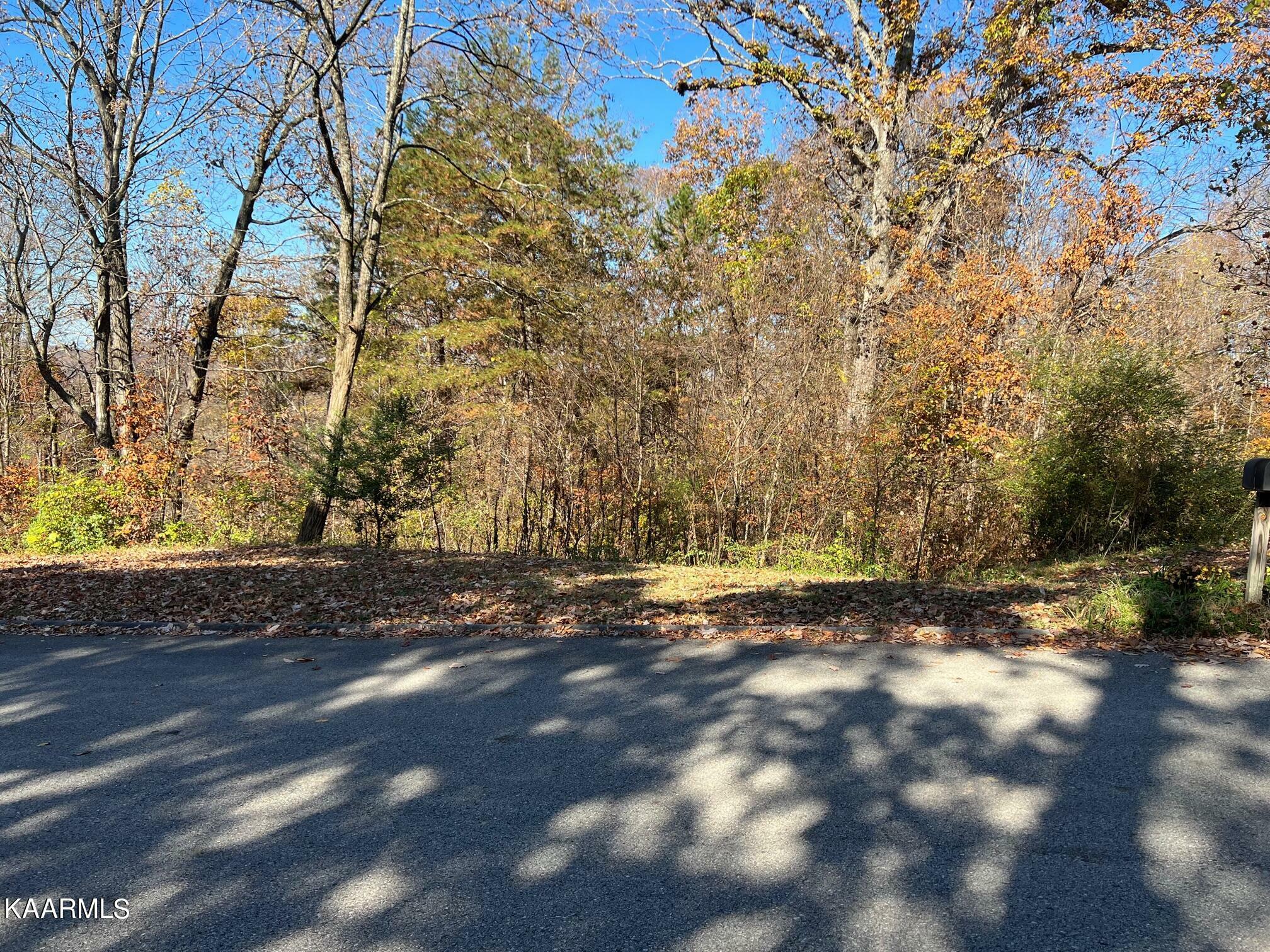 Property Photo:  0 Windy Way Lot 75 Drive  TN 37932 