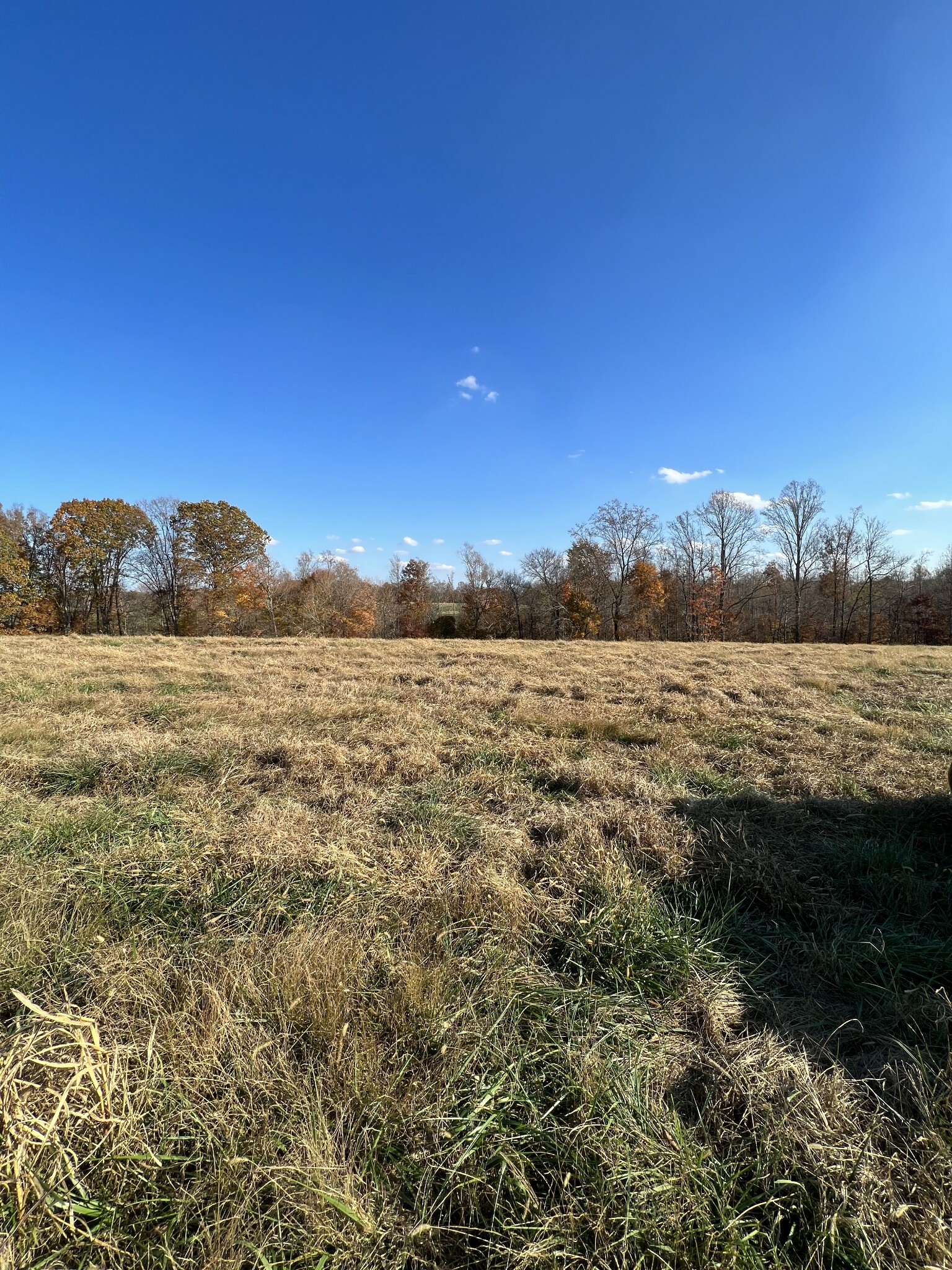 Property Photo: 0 Sunrise Rd Tract 3 TN 37150