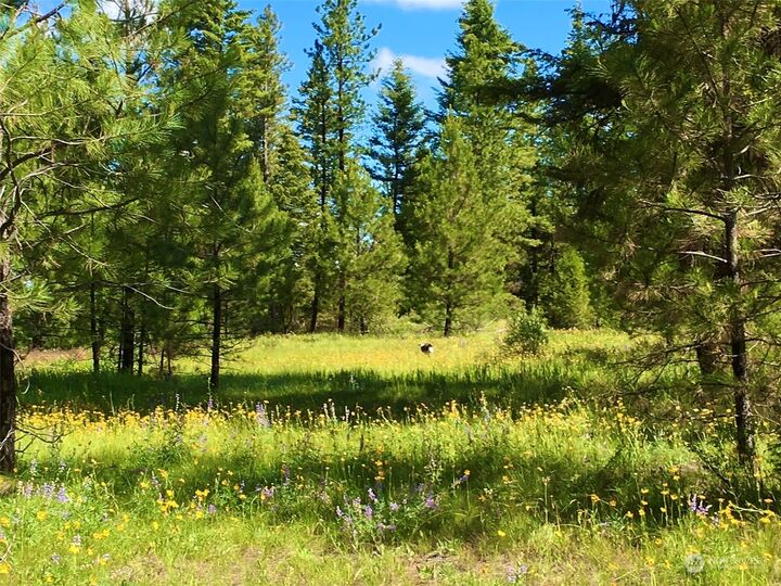 Property Photo:  46 Grizzly Loop Road  WA 99166 