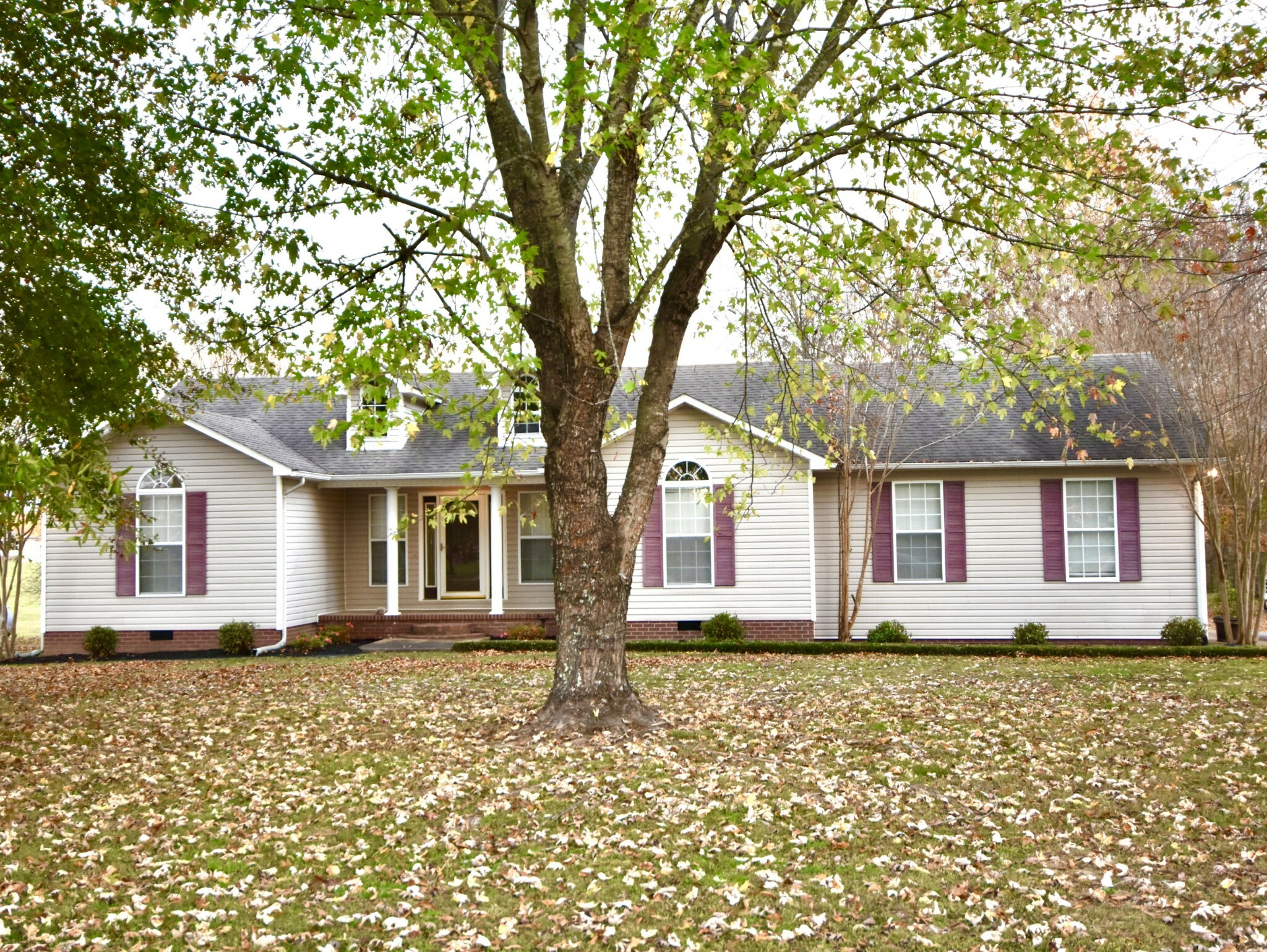 Property Photo:  20 Ward Rd  TN 38469 