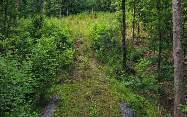 Longbranch  Ranger GA 30734 photo