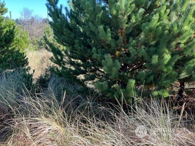 Property Photo:  32810 G Place  WA 98640 