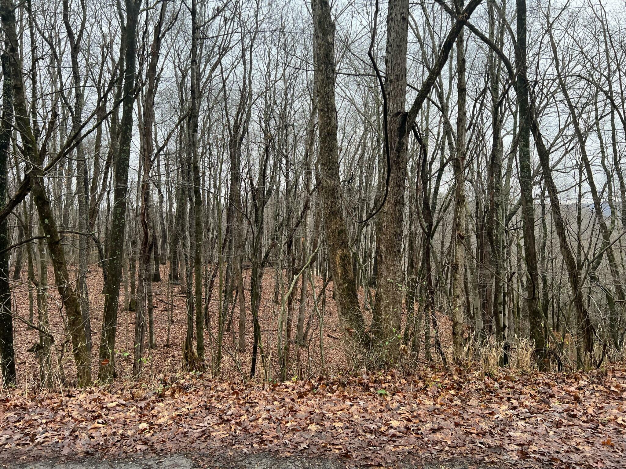 Property Photo:  Rockcliff Rd.  WV 25984 