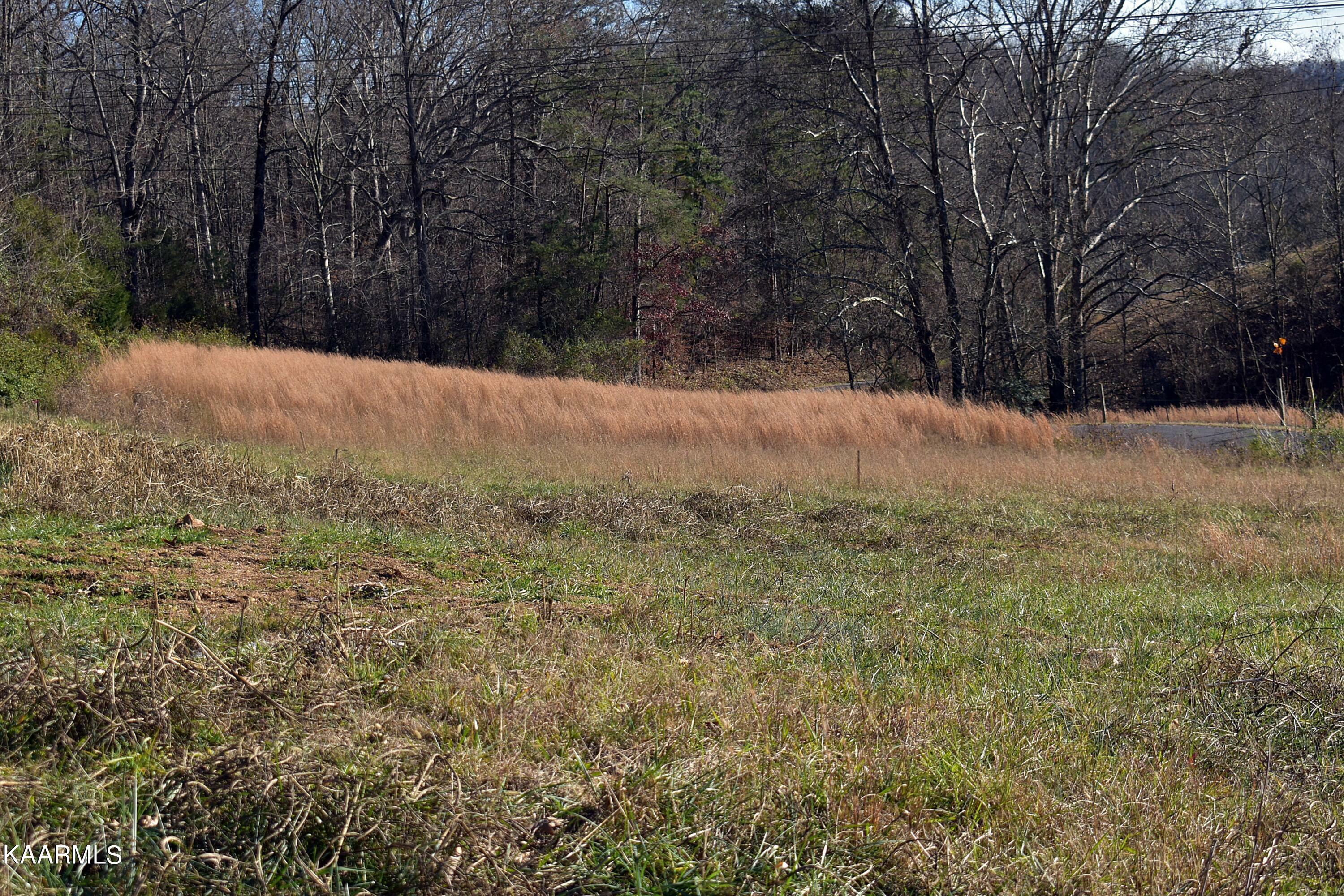 Property Photo:  Robertson Hill Rd  TN 37870 