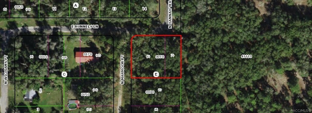 Property Photo:  1204 E Runnels Lane  FL 34445 