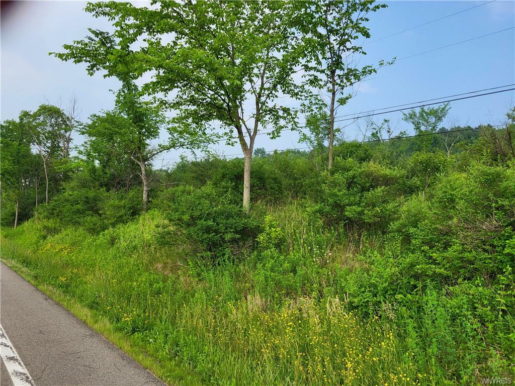 Property Photo:  Lot A Nys Route 242  NY 14101 