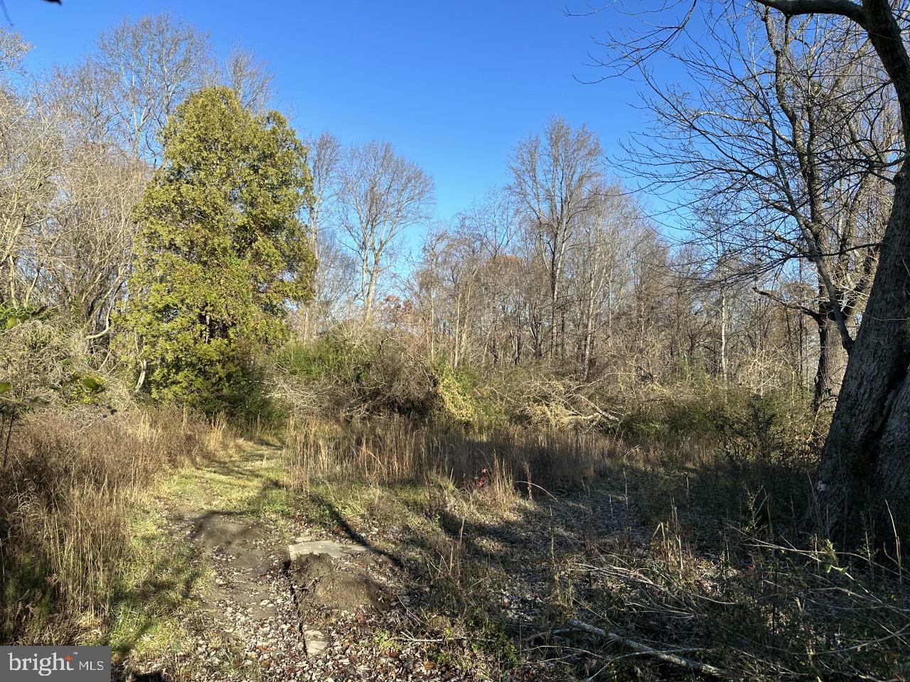 Property Photo:  11303 Ridge Road  VA 22485 