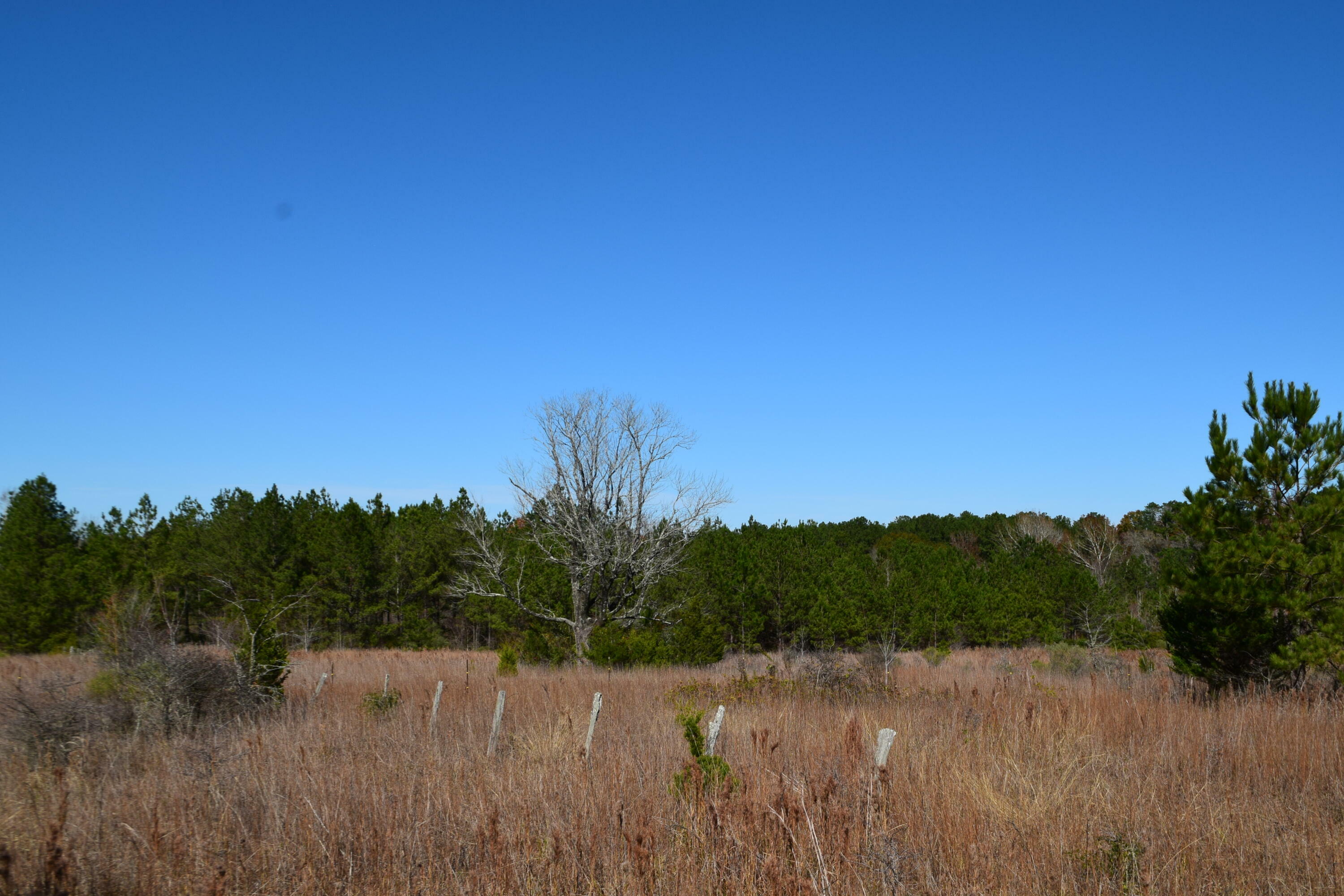 Property Photo:  Leonard Hunt Rd. 9 Acres  LA 71446 