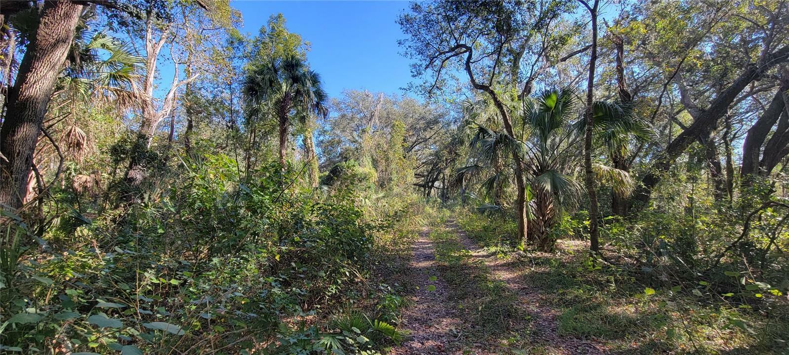 Property Photo: Sydney Washer Rd FL 33527