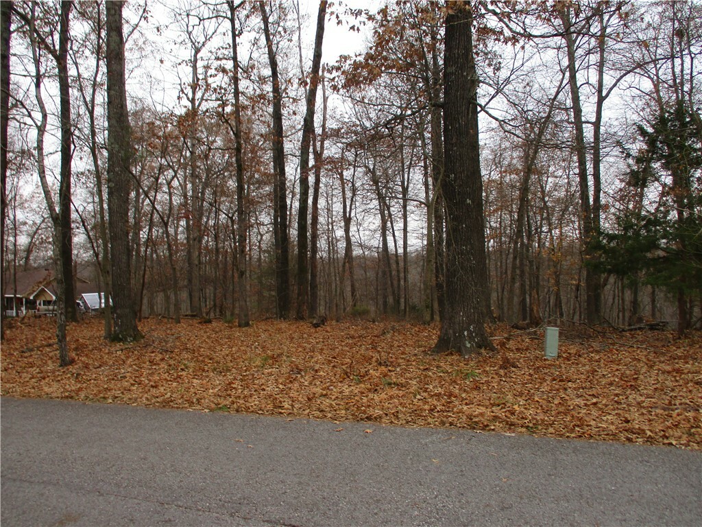 Property Photo:  2650 Sequoyah Drive  AR 72758 