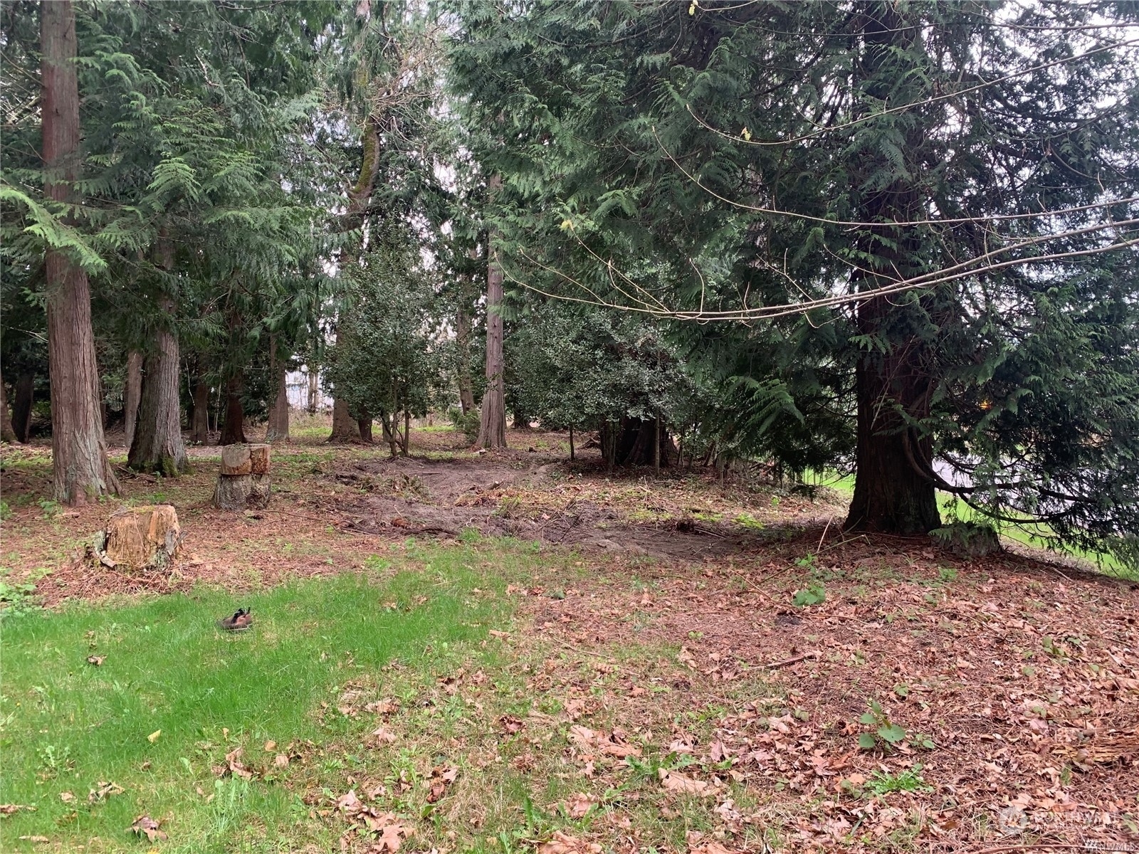 Property Photo:  120 Irondale Road  WA 98339 