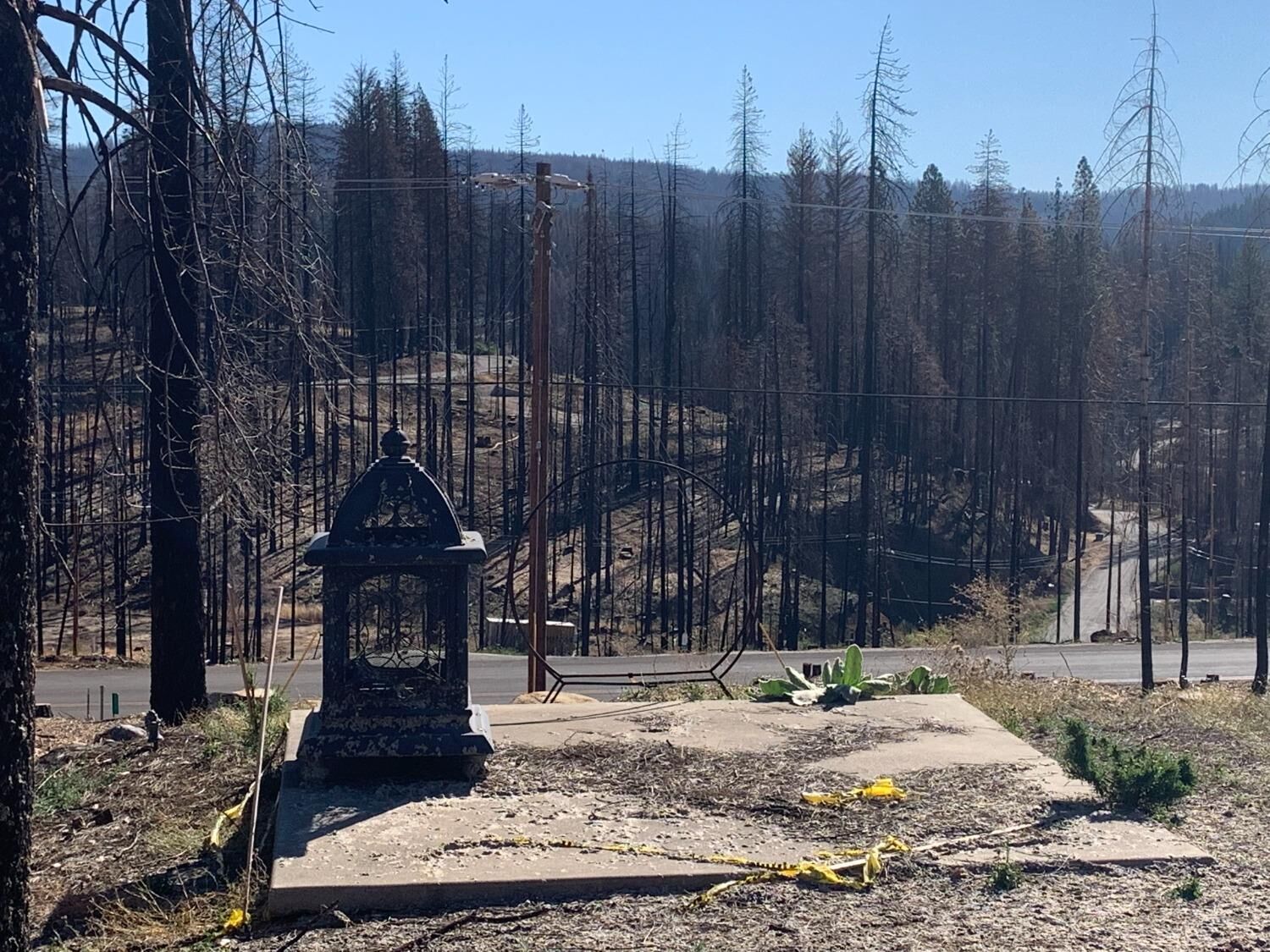 Property Photo:  6774 6786 Tyler Drive  CA 95636 