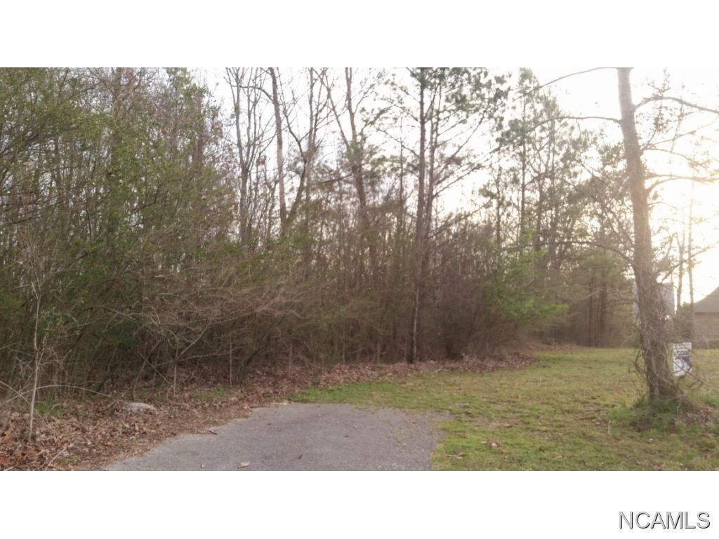 Property Photo:  Lot 80 Montcrest  AL 35057 - CULLMAN 