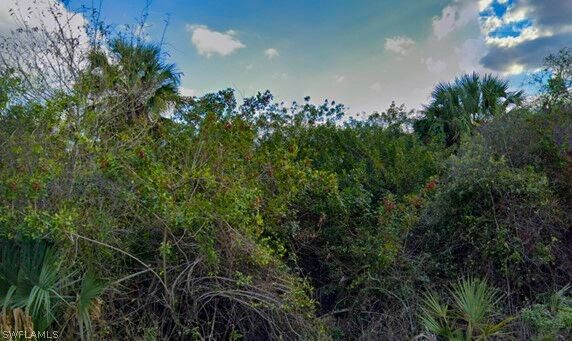 Property Photo:  3111 33rd Street SW  FL 33976 