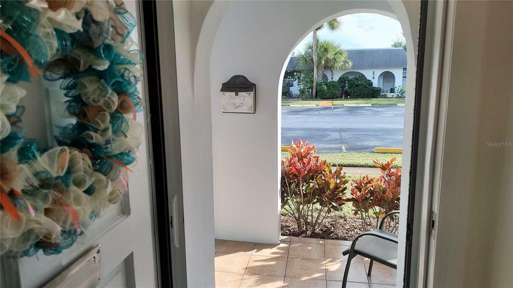 Property Photo: 4213 Redcliff Place FL 34652