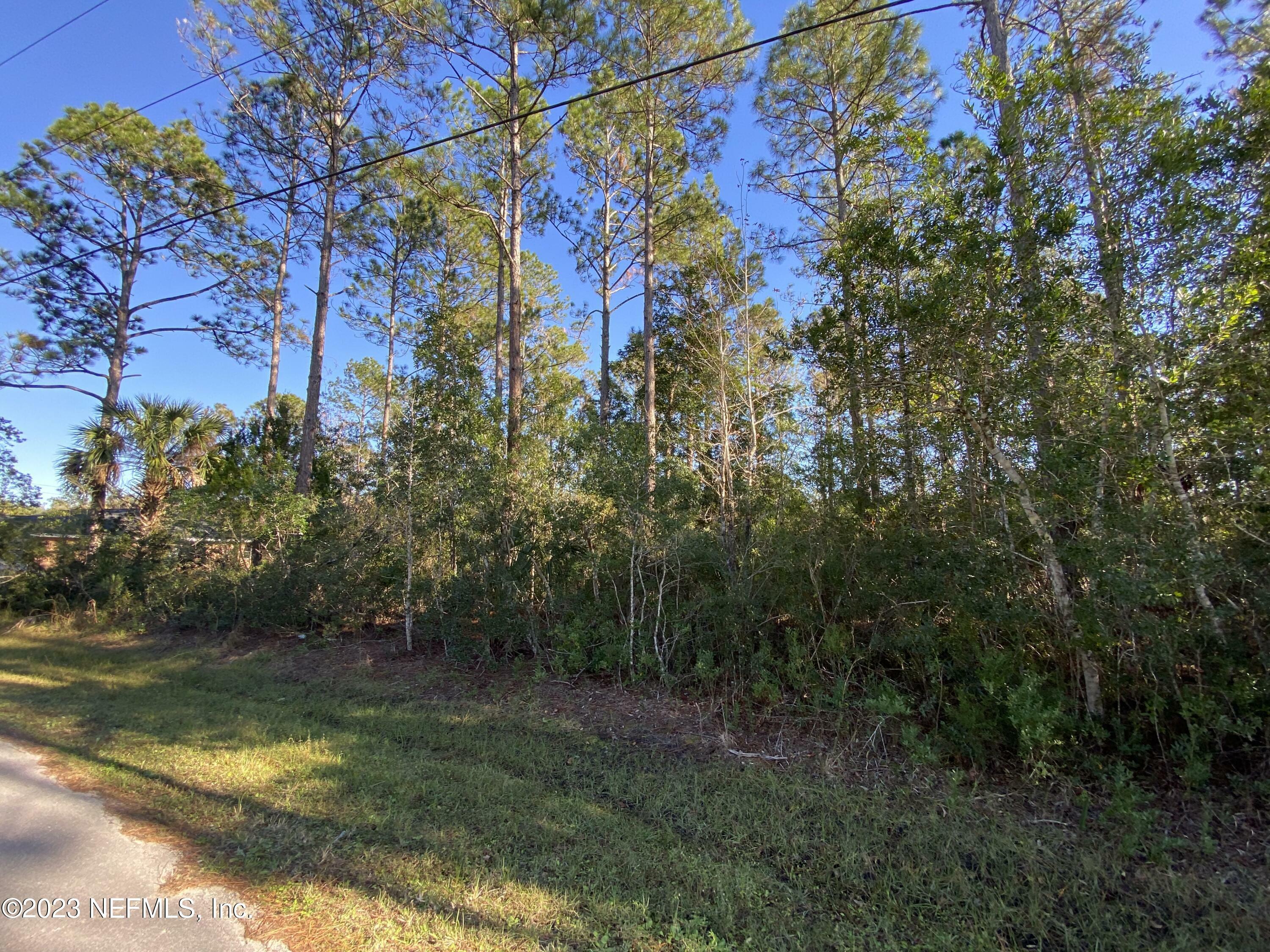 Property Photo:  106 Slumber Meadow Trail  FL 32164 