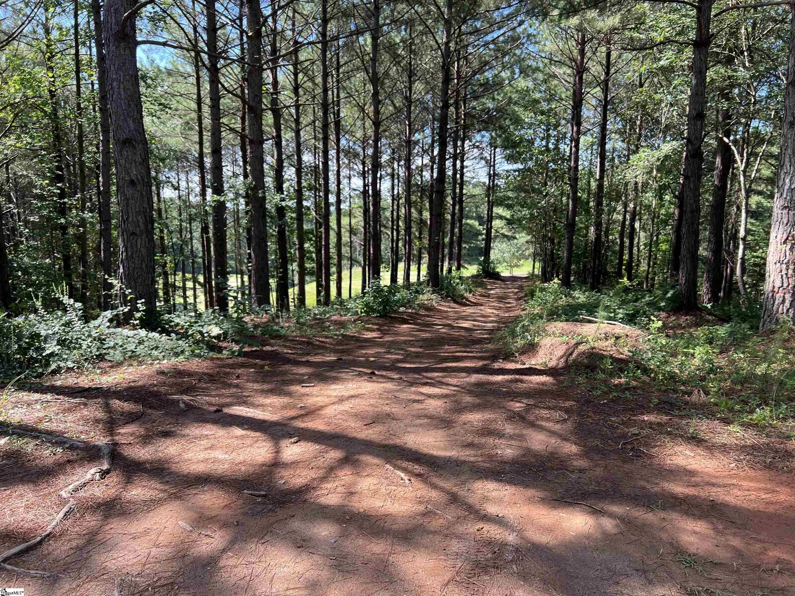 Property Photo:  343 Keowee Avenue  SC 29685 