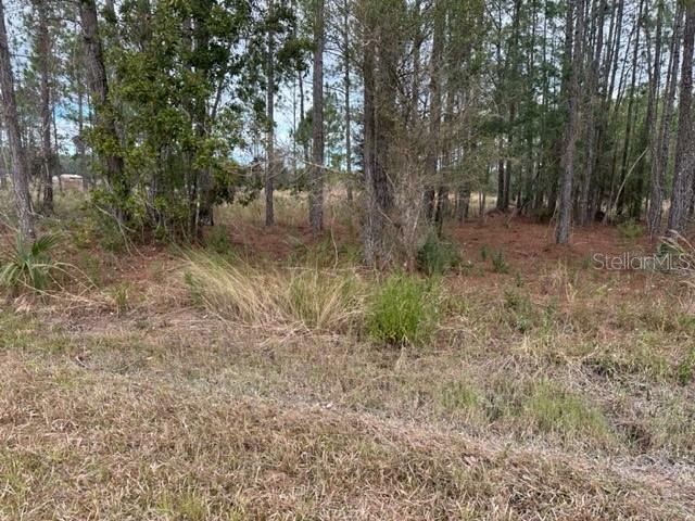 Property Photo:  Otter Drive Lot 0570  FL 33597 