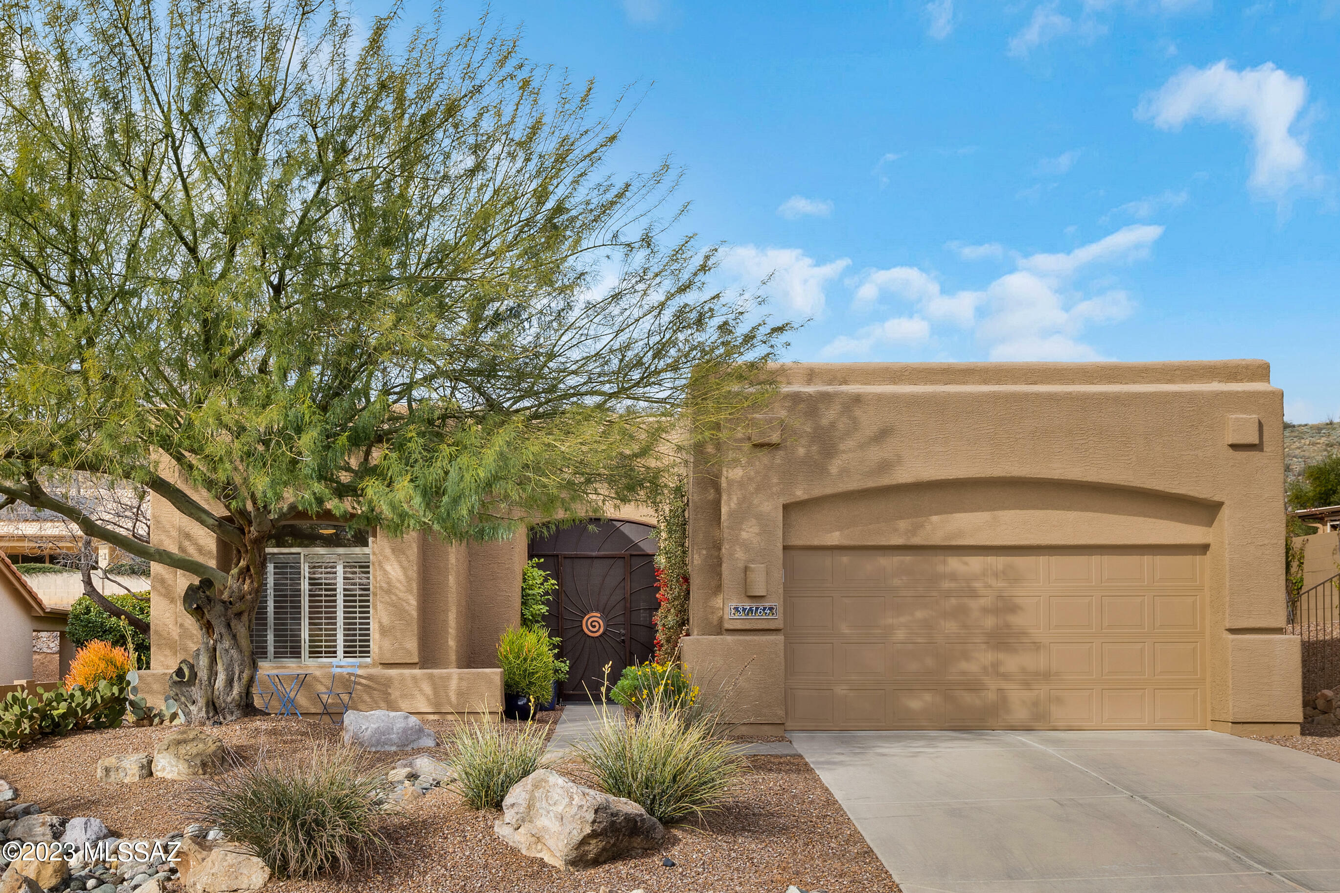 Property Photo:  37164 S Vista Park Drive  AZ 85739 