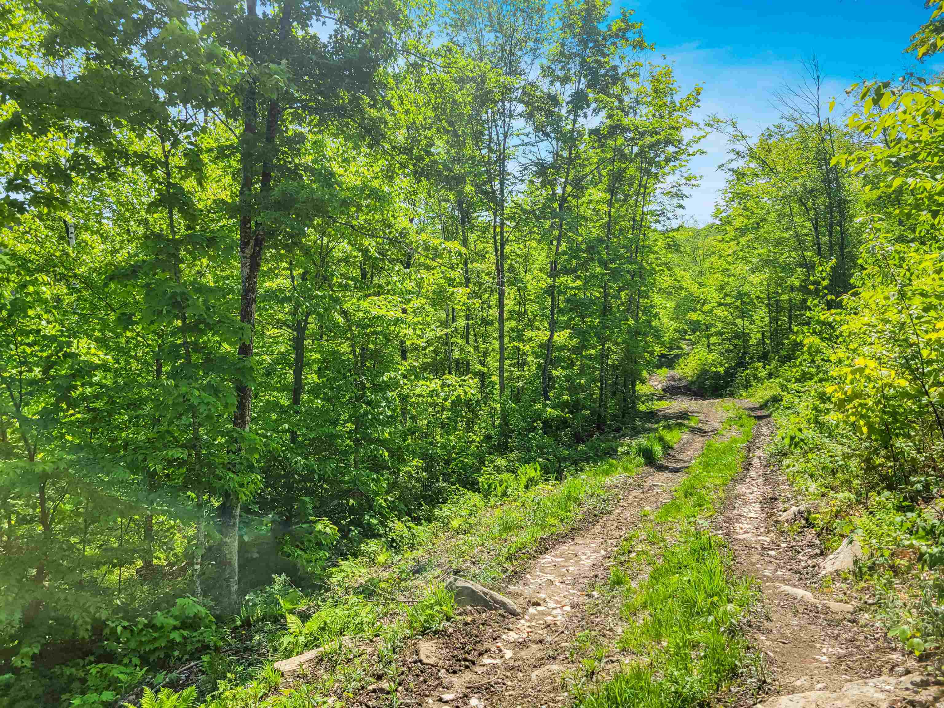 Property Photo: 791 Smutty Hollow Road NH 03771