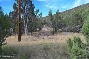 Property Photo:  01 E Bucks Road  AZ 86337 