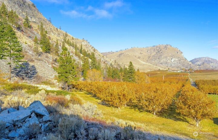 Address not disclosed photo