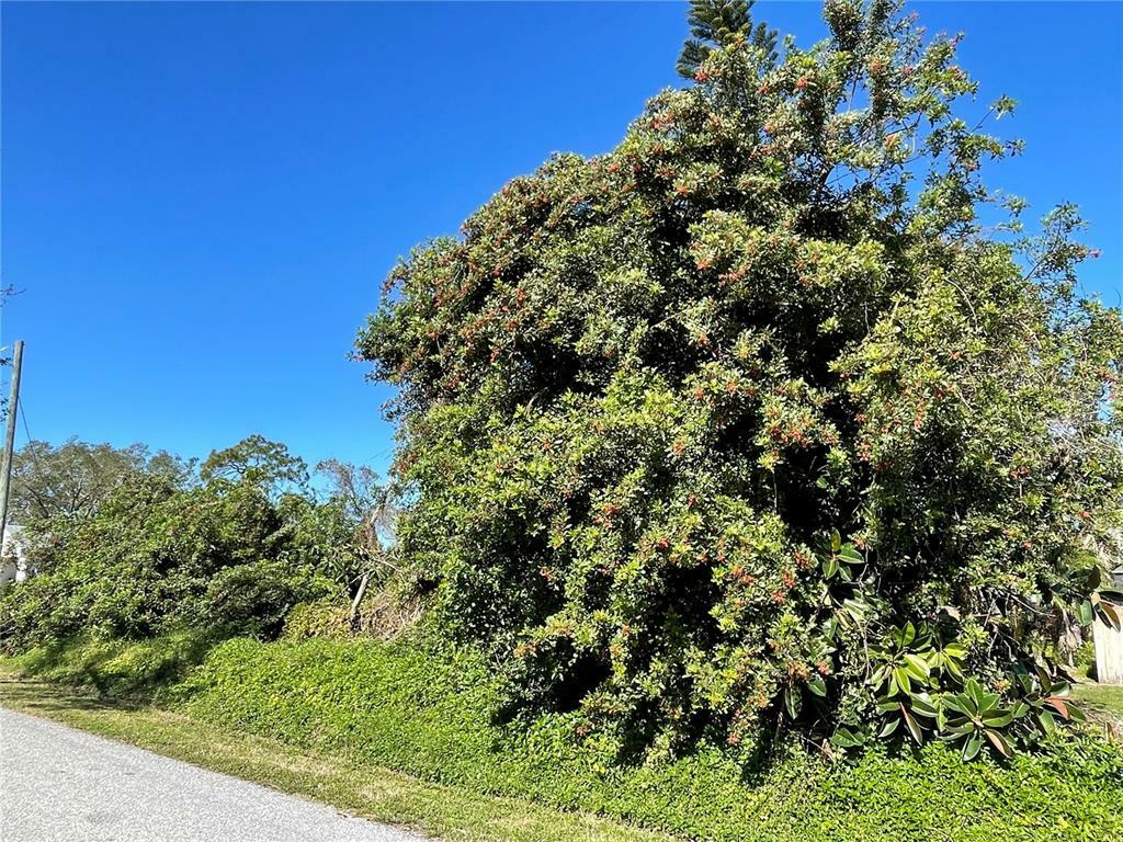 Property Photo: Cypress Road FL 34293