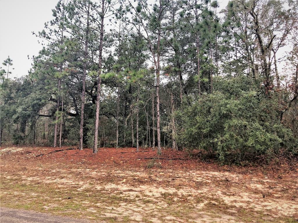 Property Photo:  9784 N Wayland Avenue  FL 34434 